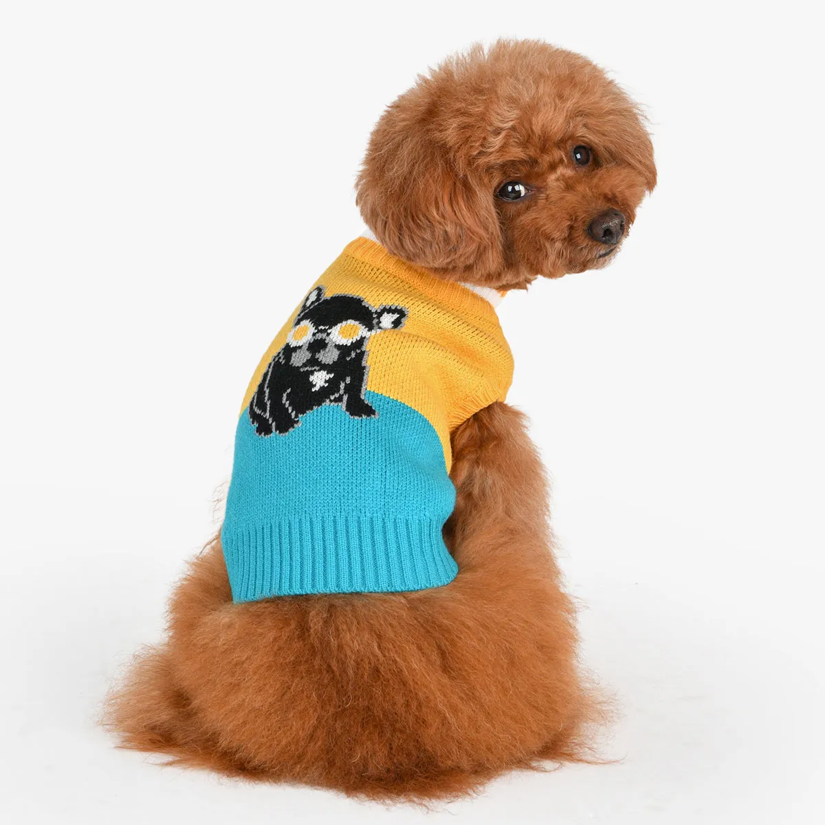 Bruno Dog Sweater