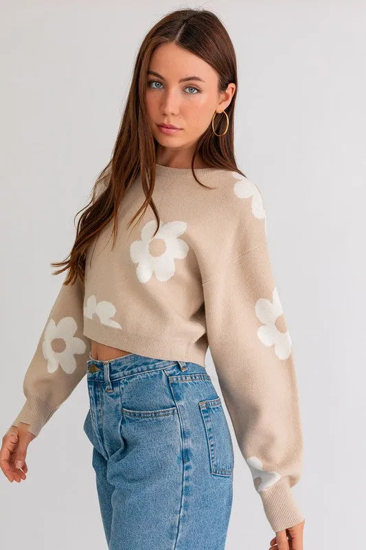 Daisy Days Crop Sweater