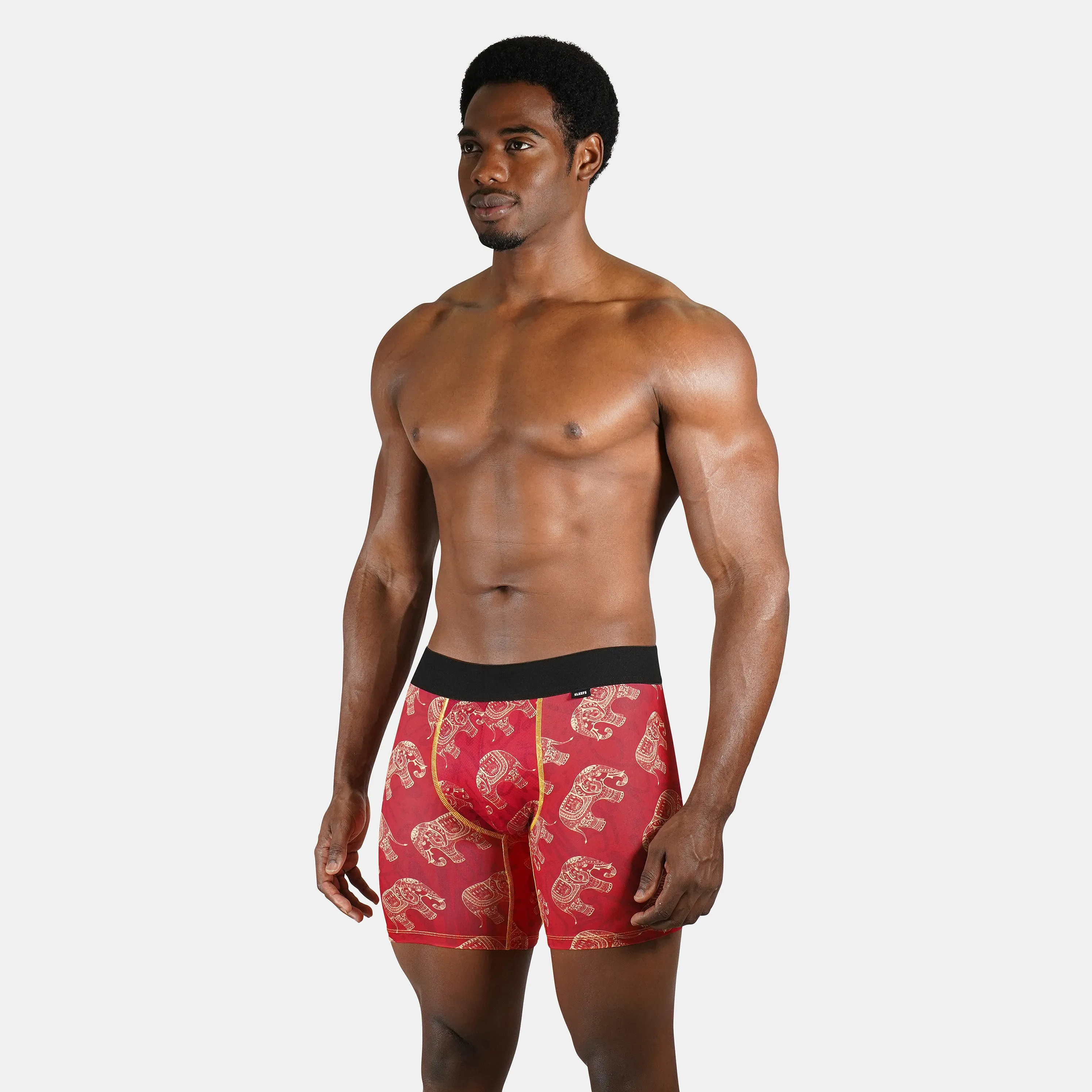 Mandala Elephant Men's Underwear